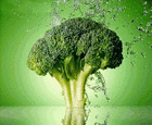 Brokolidroid
