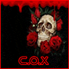 profile-picture