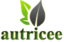 autricee