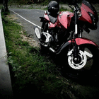 profile-picture