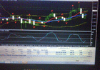 dpatetrader