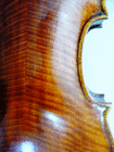 profile-picture
