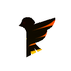 profile-picture