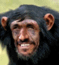 profile-picture