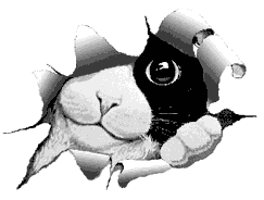 Vbroot