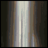 profile-picture
