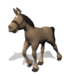 profile-picture