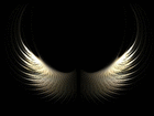 profile-picture