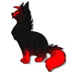 profile-picture