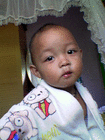 adiborneo