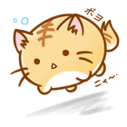 profile-picture