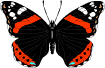 profile-picture