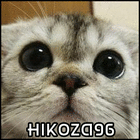 hikoza96