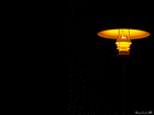 profile-picture