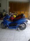 profile-picture