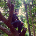 profile-picture