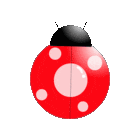 profile-picture