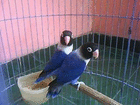 profile-picture