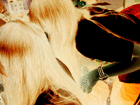 profile-picture