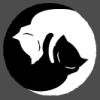 profile-picture