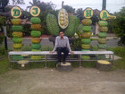 profile-picture