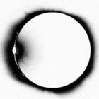 profile-picture