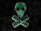 profile-picture