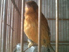 profile-picture