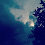profile-picture