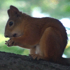 profile-picture