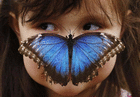 bluexmorpho