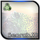 search.id