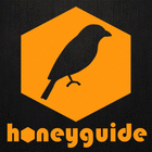 honeyguide