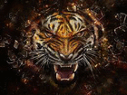 angry.tiger