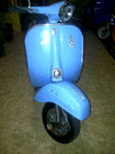 profile-picture