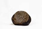 black.truffle