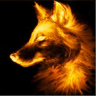 burning.wolf