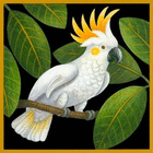 profile-picture