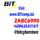 www.bitcomp.biz
