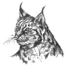profile-picture