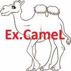 ex.camel