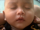 profile-picture