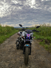 profile-picture