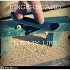 fingerboardplg1