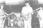 pengamatdamai