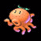 orangeopus