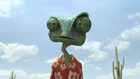 profile-picture