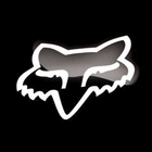 profile-picture