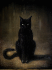 black.cat24