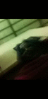 profile-picture